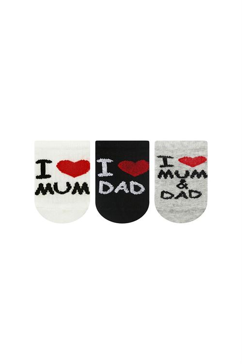Family Baby Boys Sneaker Socks 12