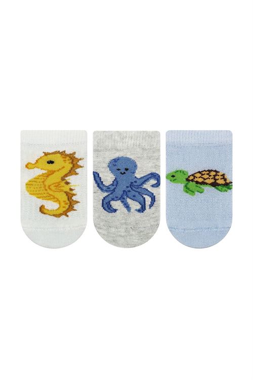 Sea Animal Baby Boys Sneaker Socks 12