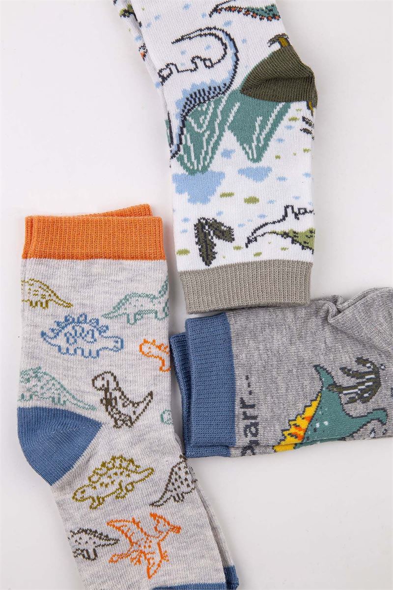 BROSS KIDS DINO CREW SOCKS ASORTY