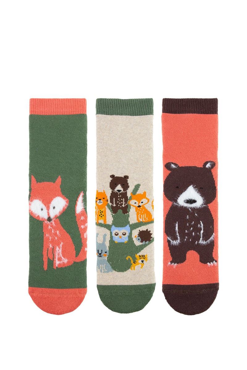 BROSS LIGHT COLOR ANIMAL BOYS’ TERRY SOCKS ASORTY