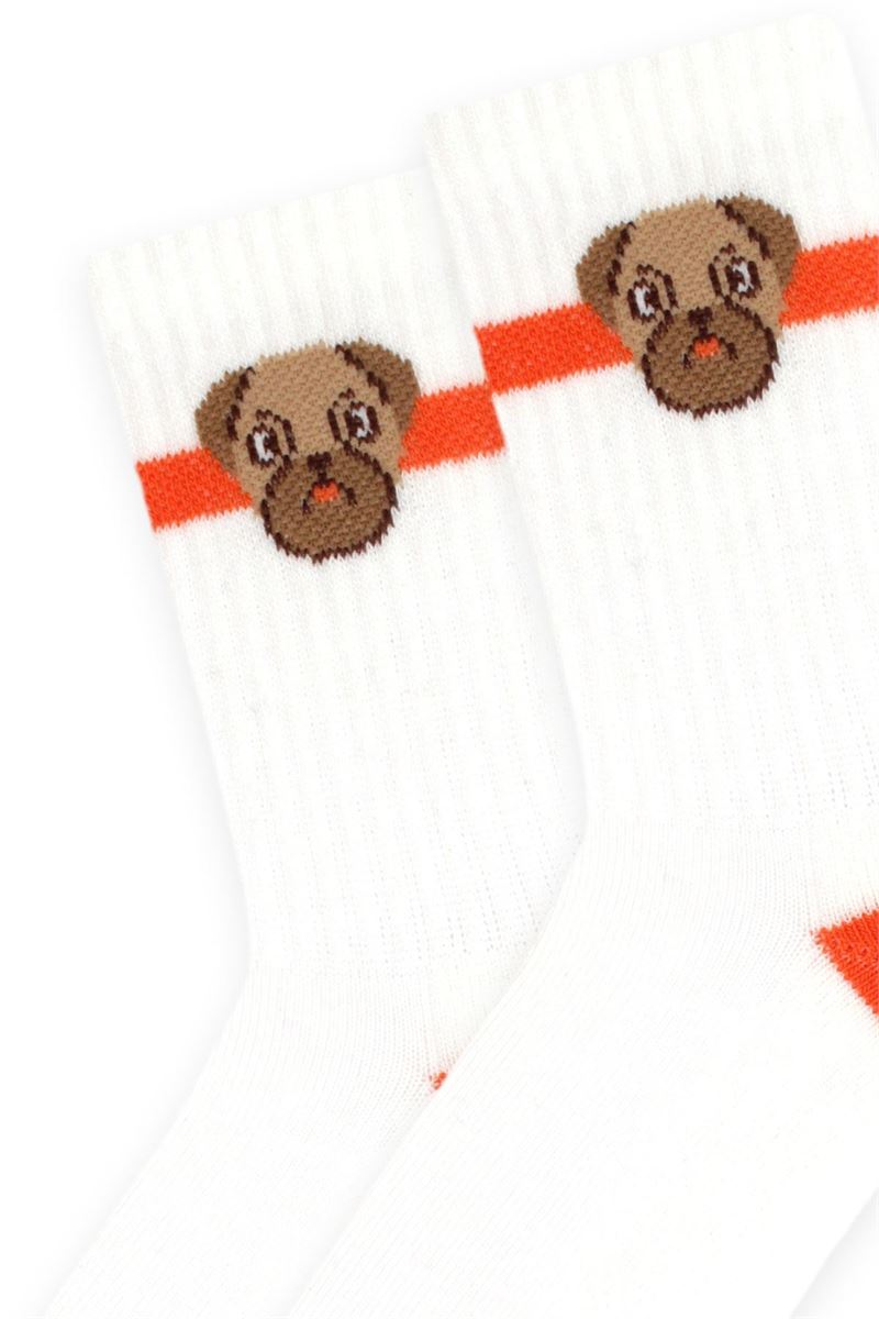 BROSS ANIMALS PATTERNED BOYS TERRY SOCKS ASORTY