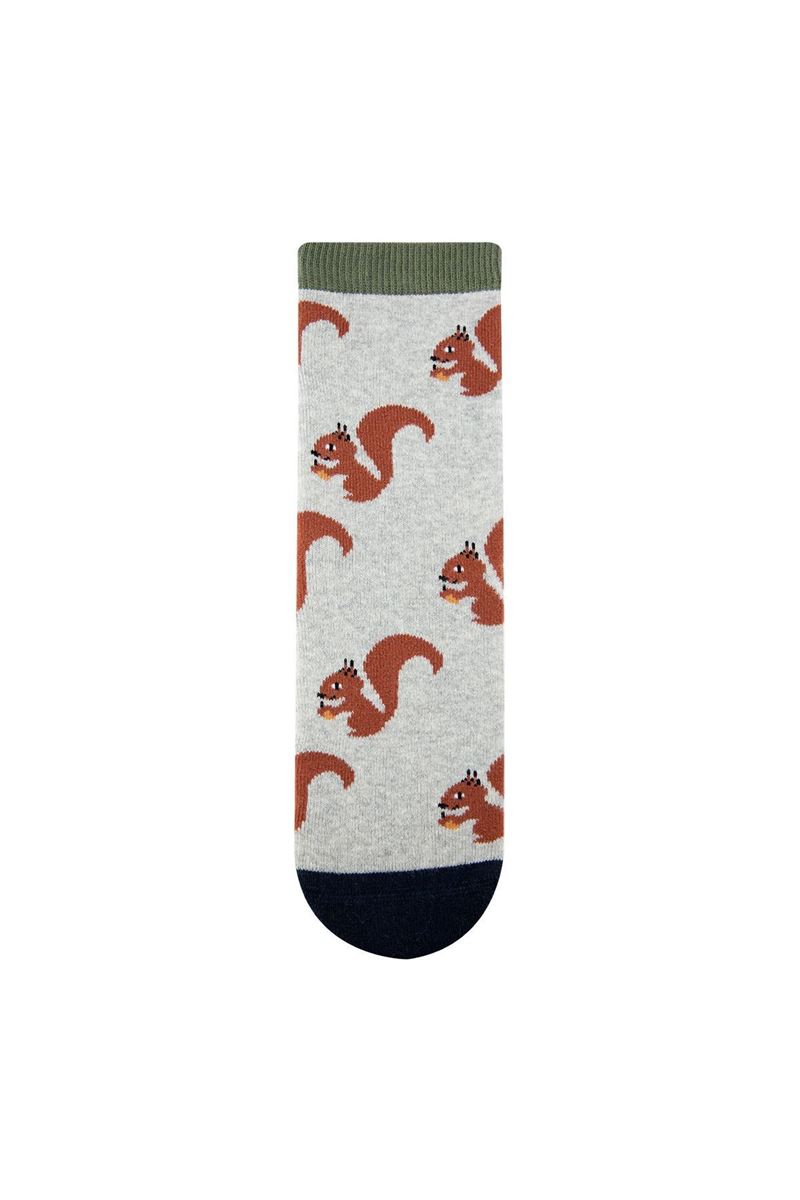 BROSS SQUIRREL PATTERN KIDS TERRY SOCKS ASORTY