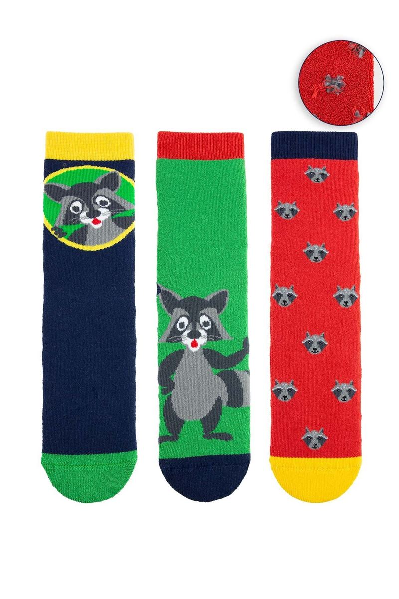 BROSS RACOON BOYS’ TERRY SOCKS ASORTY