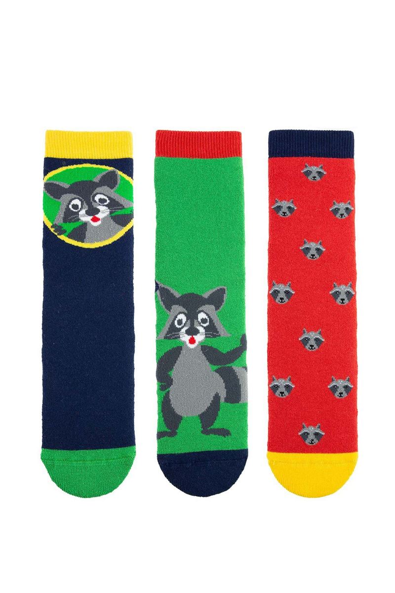 BROSS RACOON BOYS’ TERRY SOCKS ASORTY