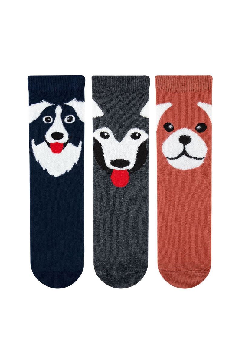 BROSS DOG PATTERN BOYS SOCKET SOCKS ASORTY