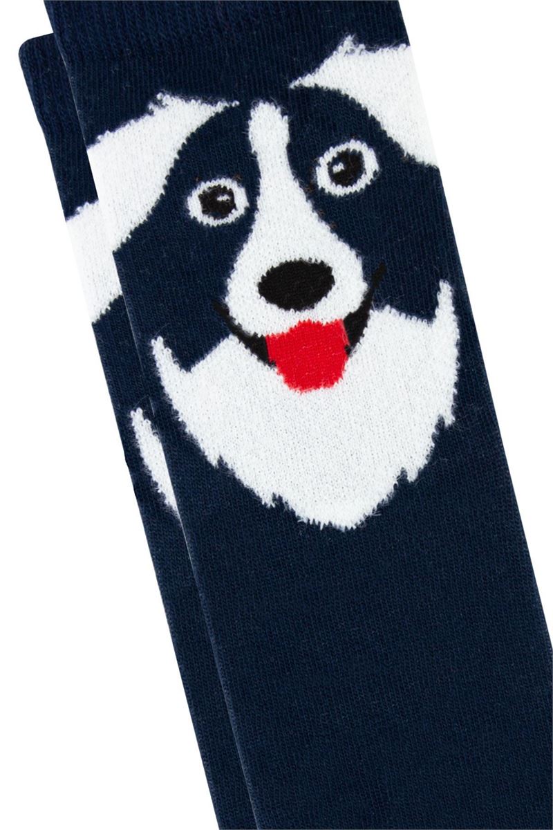 BROSS DOG PATTERN BOYS SOCKET SOCKS ASORTY