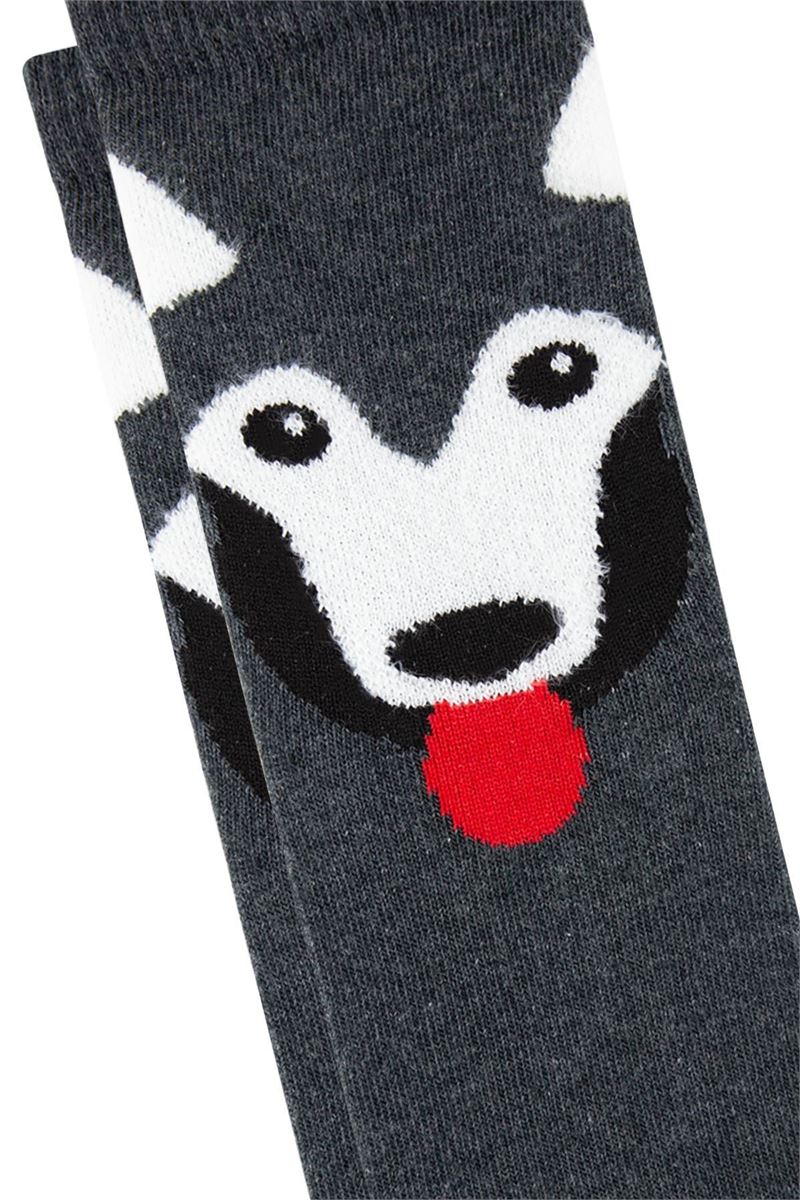 BROSS DOG PATTERN BOYS SOCKET SOCKS ASORTY