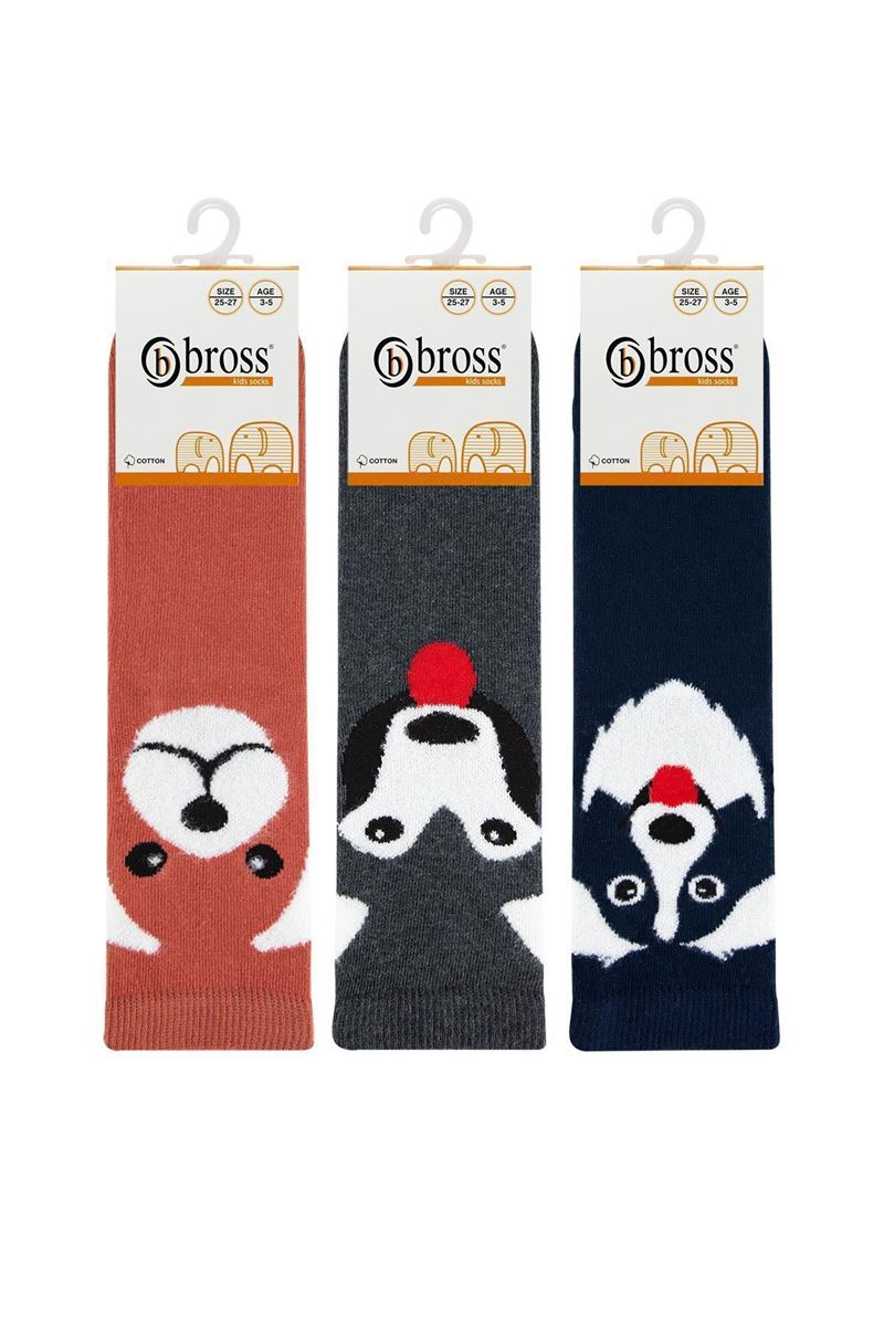 BROSS DOG PATTERN BOYS SOCKET SOCKS ASORTY