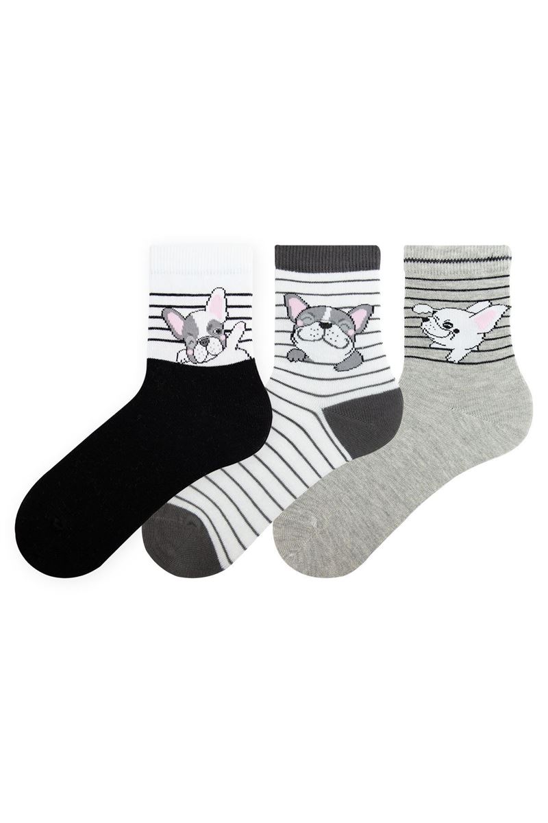 BROSS DOG PATTERN BOYS SOCKET SOCKS ASORTY