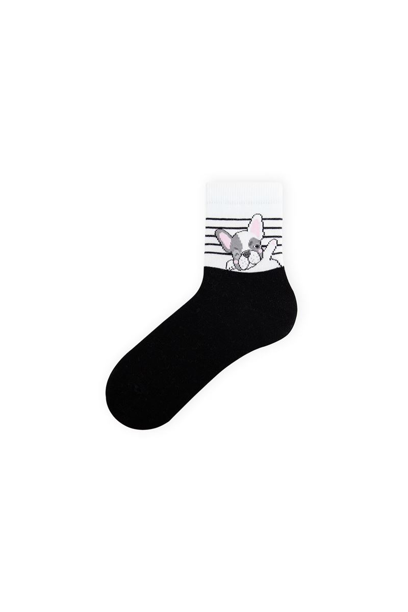 BROSS DOG PATTERN BOYS SOCKET SOCKS ASORTY