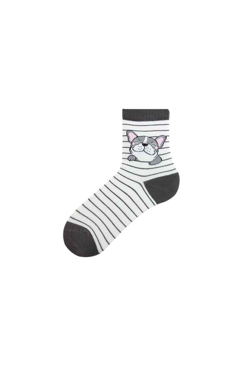 BROSS DOG PATTERN BOYS SOCKET SOCKS ASORTY