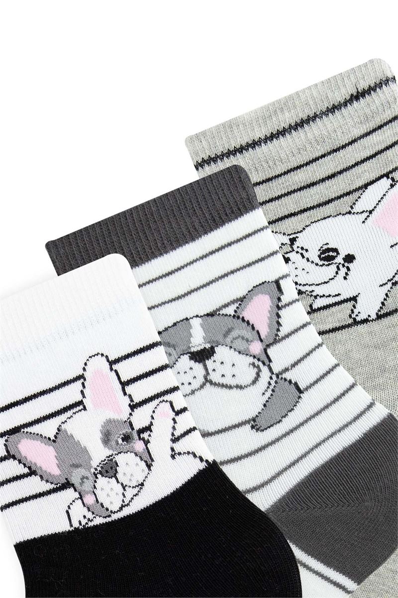 BROSS DOG PATTERN BOYS SOCKET SOCKS ASORTY