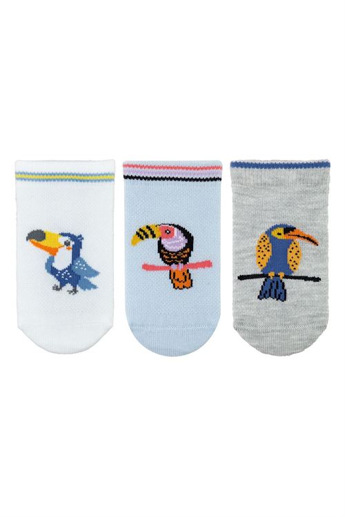 Baby Boy Ankle Socks Parrot Patterned 12