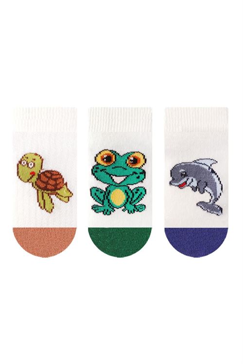 Sea Animals Patterned Baby Boys Shaftless Socks 12