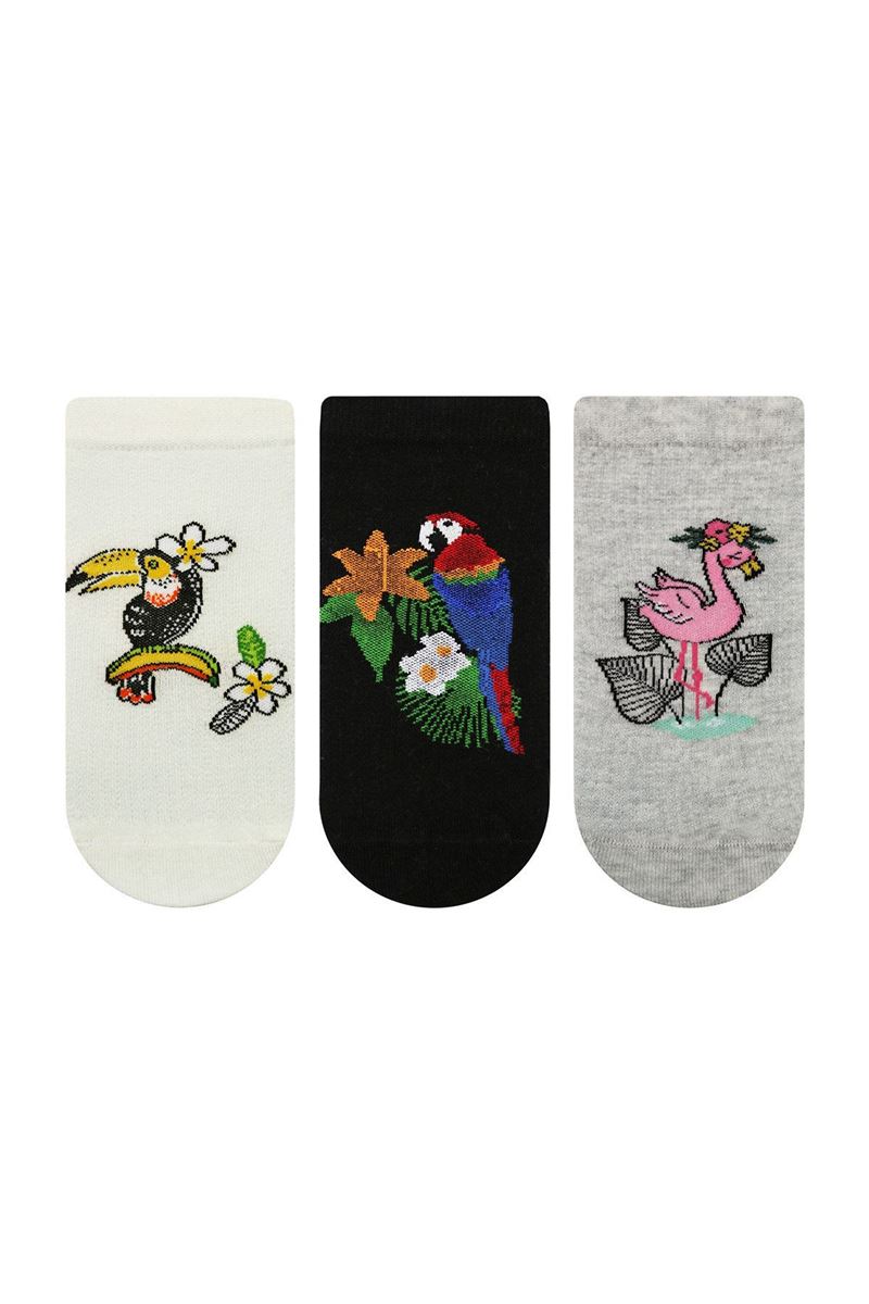 BROSS PARROT AND FLAMINGO PATTERNED WOMENS BOOTIES SOCK ASORTY